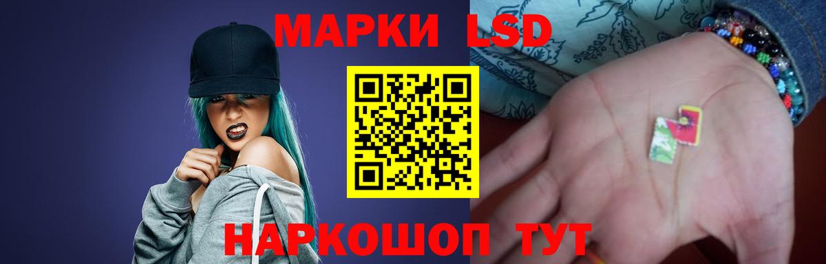 МЕФ Златоуст