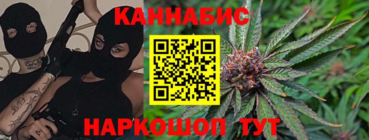 Златоуст  Шишки марихуана план  Канабис гибрид  Вход с VPN  Канабис план 